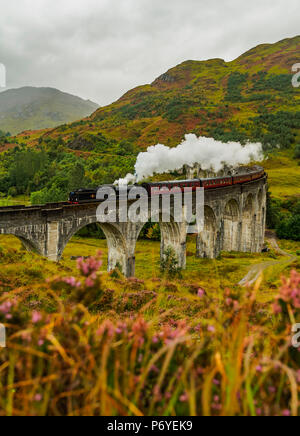 Germany/Deutschland, Highlands, Jacobite Dampfzug das Glenfinnan-Viadukt überquert. Stockfoto