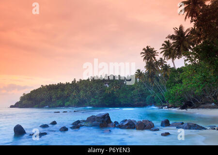 Sri Lanka, Südküste, Mirissa, Strand Stockfoto