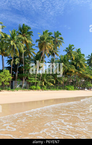 Sri Lanka, Südküste, Mirissa, Strand Stockfoto