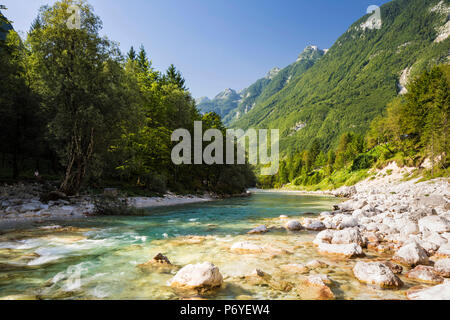 Slowenien, Region Goriska Bovec. Eine beliebte Strecke des Fluss Soca bekannt als Velika Korita. Stockfoto