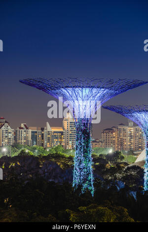 Singapur, Republik Singapur, Südostasien. Die Gärten an der Bucht mit der Skyline im Hintergrund. Stockfoto