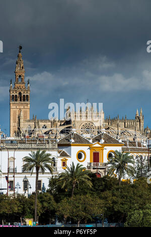 Kathedrale und Giralda bell Tower, Sevilla, Andalusien, Spanien Stockfoto