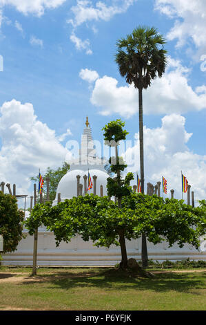 Ruvanvelisaya Dagoba, Anuradhapura, (UNESCO Weltkulturerbe), North Central Province, Sri Lanka Stockfoto