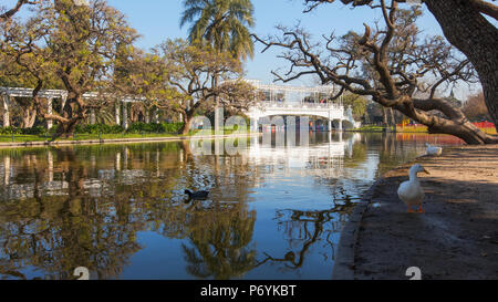 Panoramablick über die "Rosedal' Garten. Parque Tres de Febrero, Palermo, Buenos Aires, Argentinien. Stockfoto