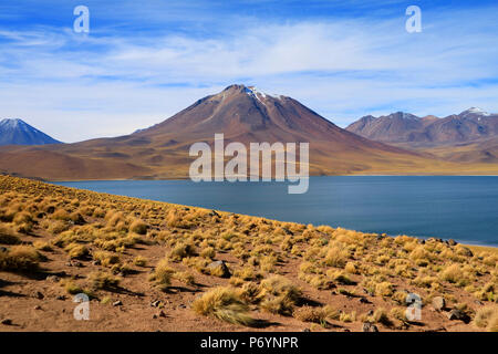 Herrlichen Blick auf die tiefblaue Farbe miscanti See mit Cerro Miscanti Berg im Hintergrund, Antofagasta Region des nördlichen Chile Stockfoto