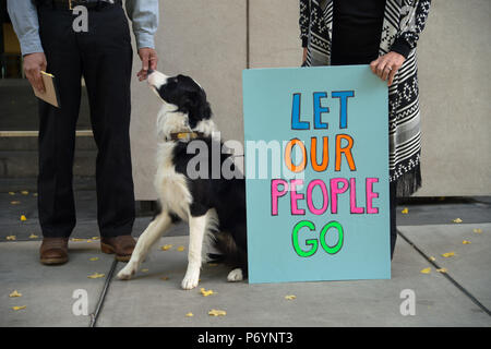 PORTLAND, Oregon, 05. Oktober 2016 einen Hund mit einem Zeichen von Demonstranten des Versuches der bewaffneten Besetzung von Malheur National Wildlife Refuge heraus gehalten Stockfoto