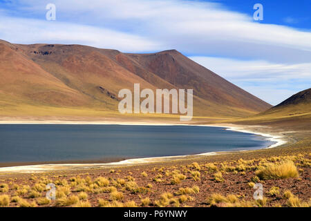 Laguna Miniques ist der See neben dem Laguna Miscanti, im Altiplano im Norden von Chile Stockfoto