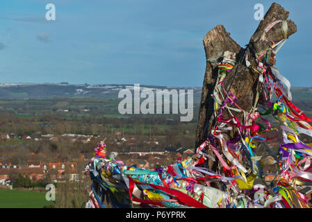 Die hell eingerichteten Stumpf der mythischen Glastonbury heilige Dorn auf Wearyall Hill (Wirral) im neuen Jahr. Legenden link dieses dem Josef von Arimathäa gehörte. Stockfoto