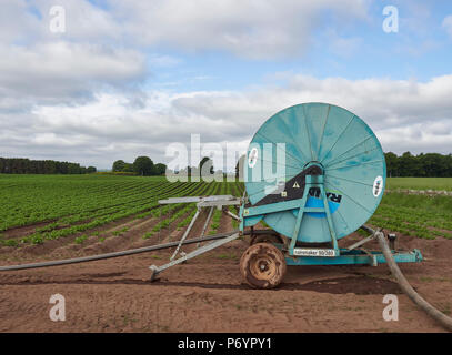 Seite nach Ansicht eines Wright Rainmaker Wasserwerfer für die landwirtschaftliche Nutzung in den trockenen Bedingungen auf Angus in Schottland zu erfahren. Stockfoto