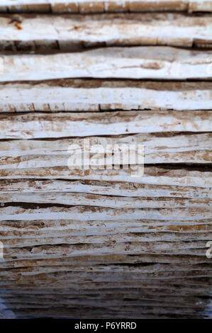 Ansicht von unten zu alten Holzdecke in Passage im mittelalterlichen Kasbah des Oudaias in Rabat, Marokko Stockfoto