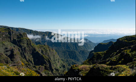 Die zentrale Nord-süd-Straße von Serra de Agua nach Sao Vicente Madeira, Portugal. Stockfoto