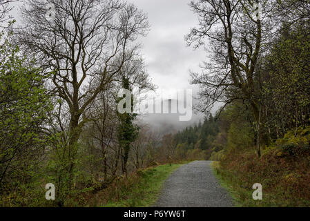 An einem regnerischen Frühlingstag in den Hügeln um Llyn Crafnant, Trefriw, North Wales, UK. Stockfoto