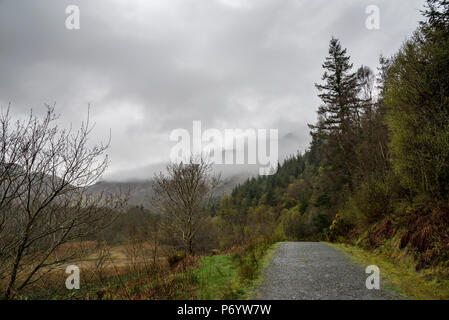 An einem regnerischen Frühlingstag in den Hügeln um Llyn Crafnant, Trefriw, North Wales, UK. Stockfoto