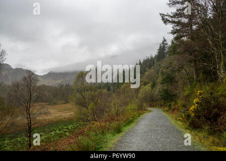 An einem regnerischen Frühlingstag in den Hügeln um Llyn Crafnant, Trefriw, North Wales, UK. Stockfoto