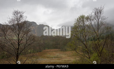 An einem regnerischen Frühlingstag in den Hügeln um Llyn Crafnant, Trefriw, North Wales, UK. Stockfoto