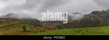 An einem regnerischen Frühlingstag in den Hügeln um Llyn Crafnant, Trefriw, North Wales, UK. Stockfoto