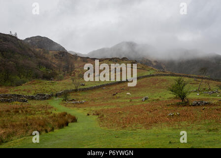 An einem regnerischen Frühlingstag in den Hügeln um Llyn Crafnant, Trefriw, North Wales, UK. Stockfoto