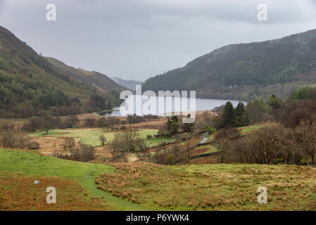 An einem regnerischen Frühlingstag in den Hügeln um Llyn Crafnant, Trefriw, North Wales, UK. Stockfoto