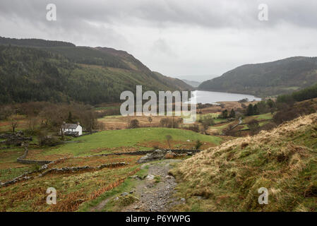 An einem regnerischen Frühlingstag in den Hügeln um Llyn Crafnant, Trefriw, North Wales, UK. Stockfoto