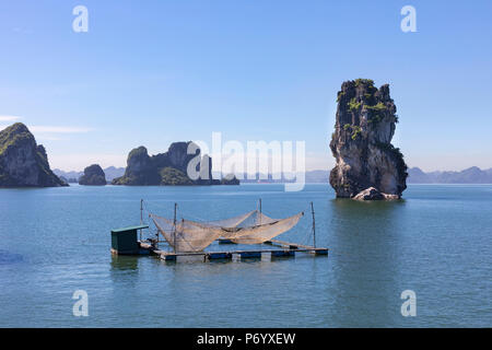 Fischernetze auf einem Floß vor karst Felsen, Halong Bay, Provinz Quang Ninh, Nord-ost-Vietnam, Südostasien Stockfoto