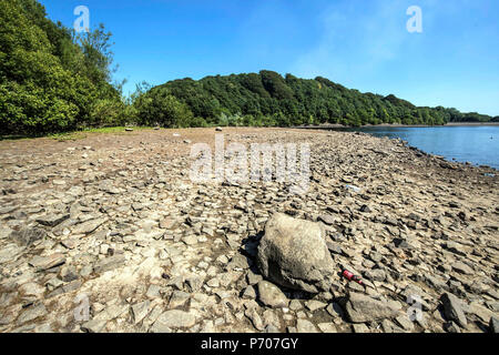 Die Banken der Anglezarke Reservoir in Lancashire als das heiße Wetter fort. Stockfoto