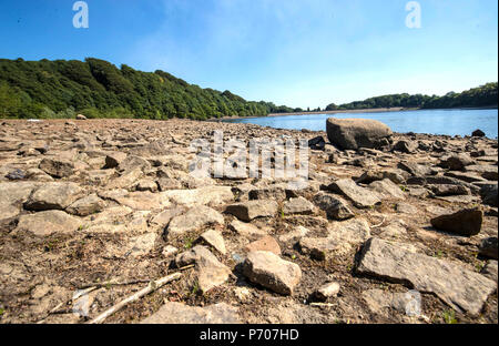 Die Banken der Anglezarke Reservoir in Lancashire als das heiße Wetter fort. Stockfoto