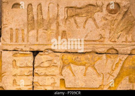 Ägypten, Luxor, West Bank, der Tempel des Ramessess 11 Wie das Ramesseum bekannt Stockfoto