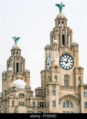 Nahaufnahme der Uhrtürme des Royal Lebergebäudes mit kormoranten Lebervögel und den größten Uhren Großbritanniens, Pier Head, Liverpool, England, Großbritannien Stockfoto