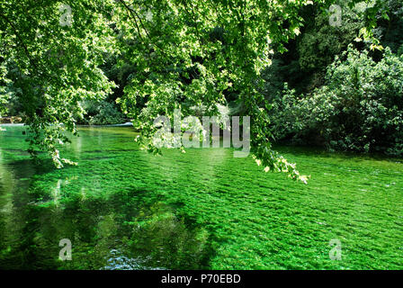 Fluss Sorgue in Fontaine-de-Vaucluse Stockfoto