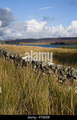 Harperrig, West Lothian, einen Behälter am Rand des Pentland Hills mit Cauldstane Slap darüber hinaus. Eine drystane Deich (Wand) im Vordergrund. Stockfoto