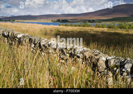 Harperrig, West Lothian, einen Behälter am Rand des Pentland Hills mit Cauldstane Slap darüber hinaus. Eine drystane Deich (Wand) im Vordergrund. Stockfoto