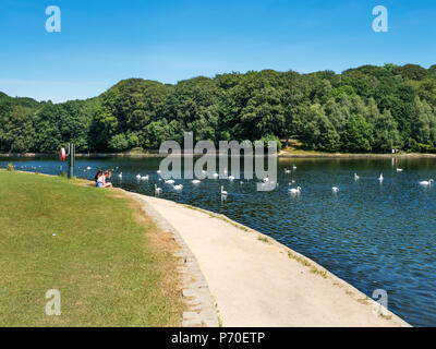 Waterloo See bei Roundhay Park Roundhay Leeds West Yorkshire England Stockfoto