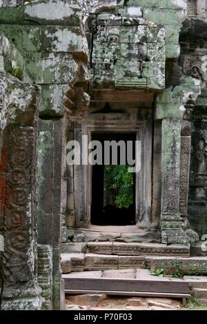 Ta Prohm Tempel im Dschungel der Provinz Siem Reap in Kambodscha Stockfoto