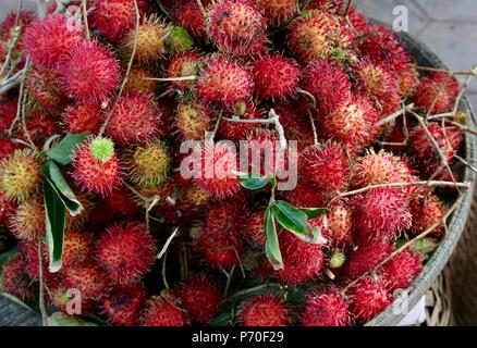 Rambutan ist zum Verkauf an die Krabbe Markt bei Kep Strand, Kambodscha Stockfoto