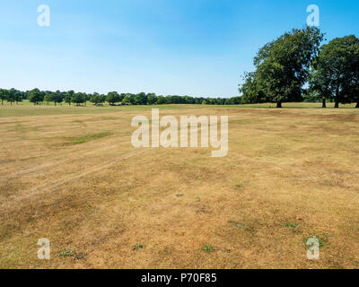 Ausgetrocknete Gras in heißem Wetter Roundhay Park Roundhay Leeds West Yorkshire England Stockfoto