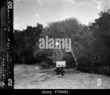 52 Strandvegetation. En Euphorbiacé ich förgrunden jämte söta Kalle. Majunga, Mahajanga. Madagaskar - SMVK - 021987 Stockfoto