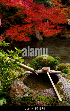 Tsukubai Wasserbecken in Renge-ji Tempel, Kyoto, Japan, Asien Stockfoto