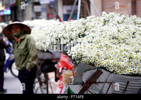 Anbieter, die Blumen von Ihrem mobilen Fahrrad Shop, Hanoi, Vietnam, Indochina, Südostasien, Asien Stockfoto