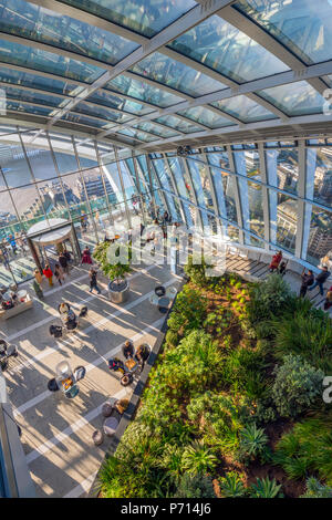 Der Sky Garden am Funkgerät (20 Fenchurch Street), City of London, London, England, Vereinigtes Königreich, Europa Stockfoto