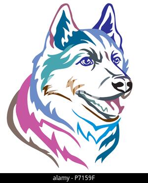 Bunt dekorativ Portrait im Profil von Hunde Siberian Husky, Vector Illustration in verschiedenen Farben auf weißem Hintergrund. Bild für Design Stock Vektor