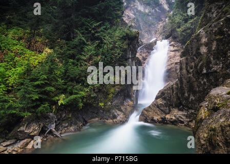 Bear Creek Falls Wasserfall, Glacier National Park von Kanada, British Columbia, Kanada, Nordamerika Stockfoto