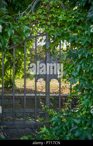 Alte Tor durch's Efeu arch Bischof garten Wrocaw Niederschlesien Polen überwachsen Stockfoto