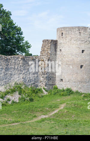 Die Wand- und Turm der Festung Koporye in der Region Leningrad, Russland. Stein Fort gebaut von 1297 Stockfoto