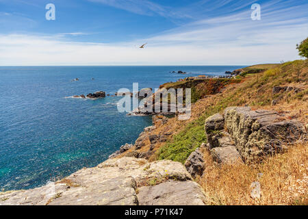 Blick auf Lizard Point cornwall Großbritannien Stockfoto