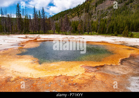 Hot Thermal Pool im Yellowstone National Park Stockfoto