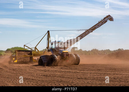 Landwirtschaftlichen Traktor mit Harvester Bevorratung lose Frästorf (Ernte) von Miller im wohlhabenden Bog, Grafschaft Kildare, Irland. Stockfoto