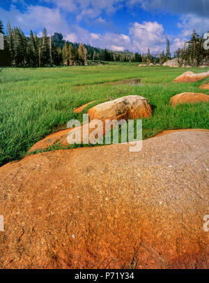 Granit, Pferd Weide, Emigrant Wilderness, Stanislaus National Forest, Sierra Nevada, Kalifornien Stockfoto