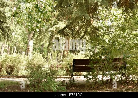 Ort der Ruhe - Suche Sitzbank Stockfoto