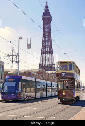 Das Alte und das Neue. Eine moderne Bombardier-Straßenbahn befindet sich neben der Blackpool Heritage Tram Tours 1901 Bolton Corporation Tram 66 vor dem Turm Stockfoto