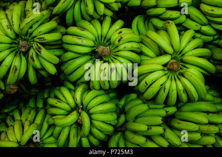 Reife große grüne und gelbe Bananen auf Marktstand Stockfoto